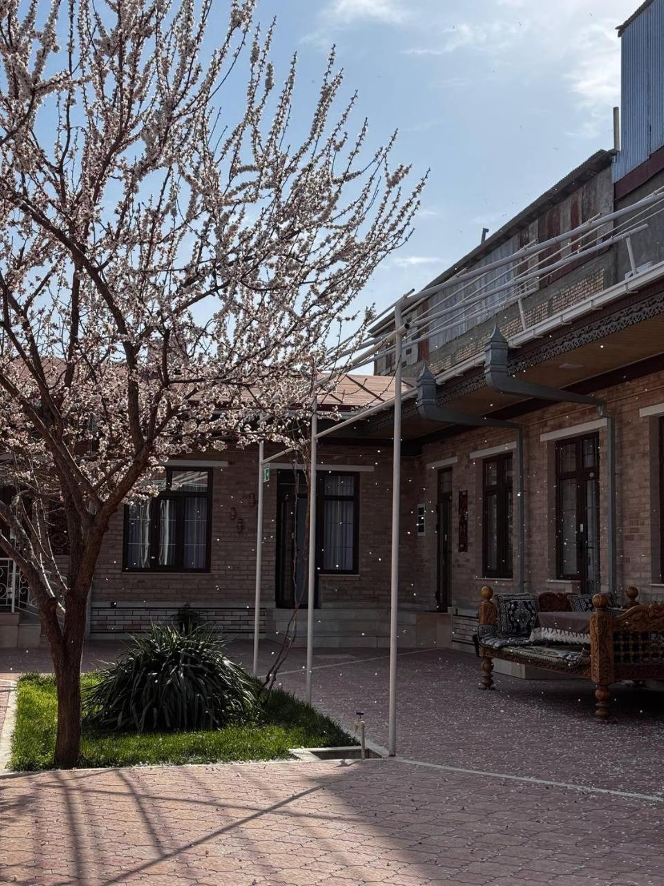 Salomat Guest House Samarkand Buitenkant foto